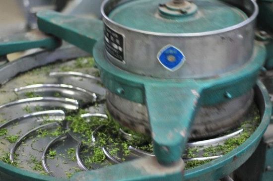 武夷巖茶的初制、精制加工工藝詳細講解
