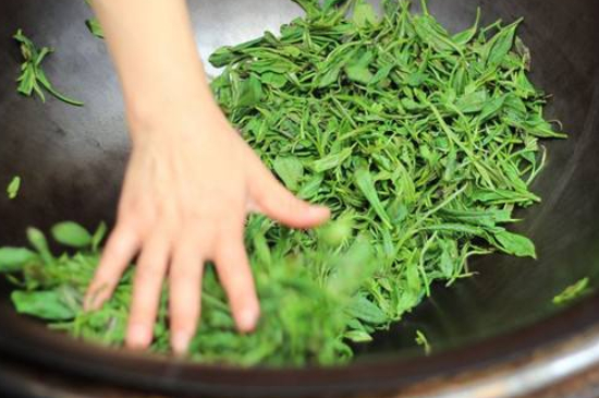 炒青綠茶與綠茶的區(qū)別，烘青和炒青哪個好喝？