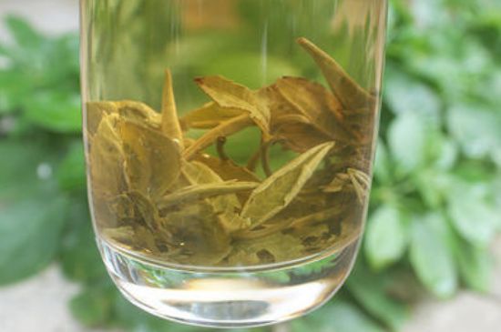 茉莉龍珠泡開后為什么都是梗，茉莉龍珠泡開后什么樣？