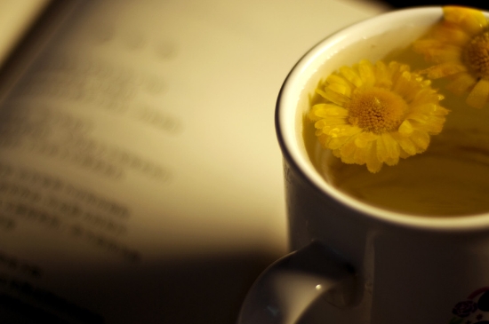 經(jīng)常菊花泡水好嗎，喝菊花茶有什么好處？
