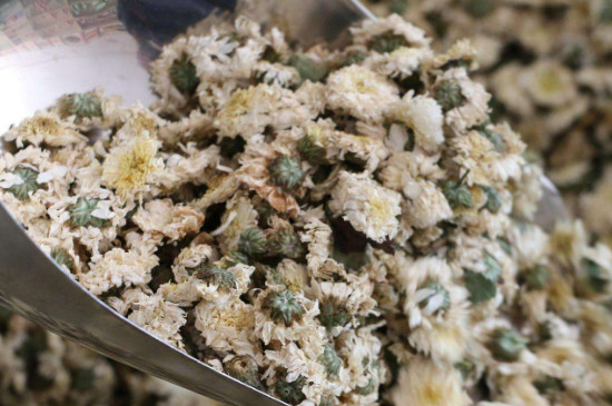 菊花茶買小朵還是大朵，泡茶用的小菊花和大菊花哪個好