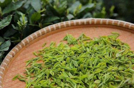 炒青綠茶與綠茶的區(qū)別，烘青和炒青哪個好喝？