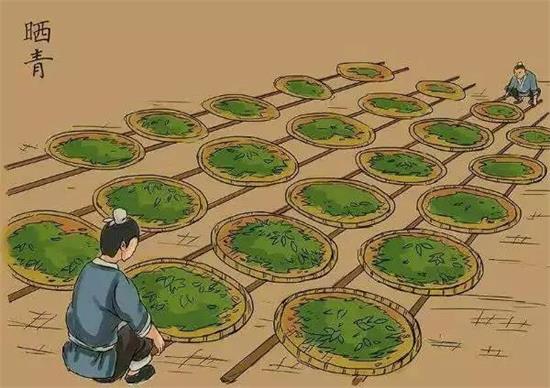 制茶八步驟，制茶工藝流程圖