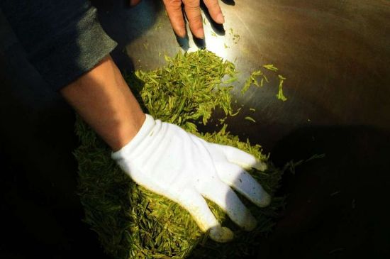 茶葉怎么炒制才香，怎樣炒茶葉更香？