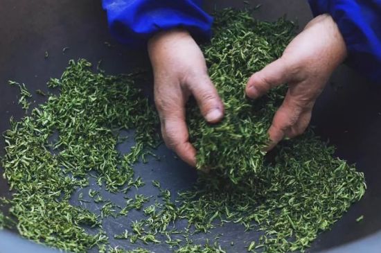 自家炒茶葉怎么炒，自己炒茶葉的步驟