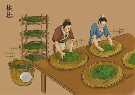 制茶八步驟，制茶工藝流程圖