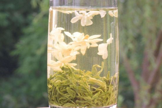 茉莉龍珠可以和什么一起泡茶，茉莉龍珠茶能加蜂蜜嗎？