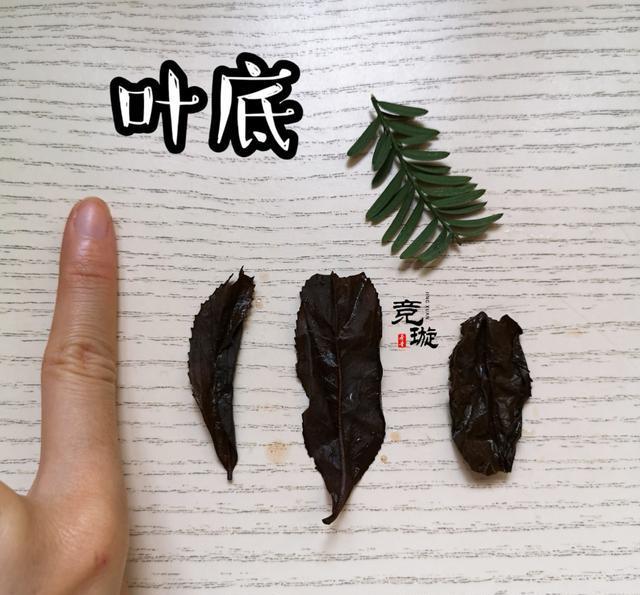 正山小種很細還很黑亮，正山小種越細越好嗎