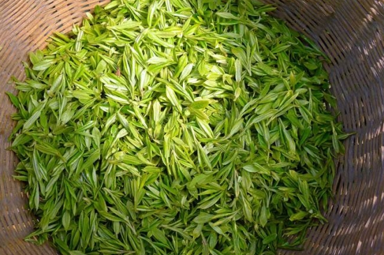 烏牛早和龍井的區(qū)別圖片，龍井43號(hào)和烏牛早茶的對(duì)比