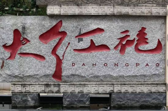母樹(shù)大紅袍給誰(shuí)喝了，為什么母樹(shù)大紅袍叫三棵六株？