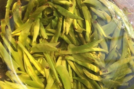 龍井是明前的好還是雨前的好，明前茶和雨前茶哪個(gè)好喝？
