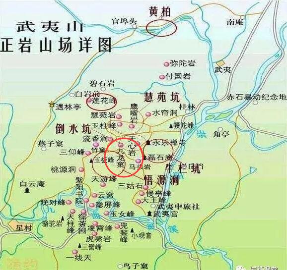母樹(shù)大紅袍給誰(shuí)喝了，為什么母樹(shù)大紅袍叫三棵六株？