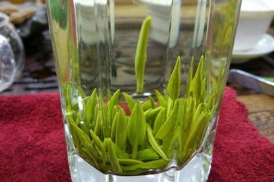 雀舌有一股青草味，雀舌為什么有青草味？