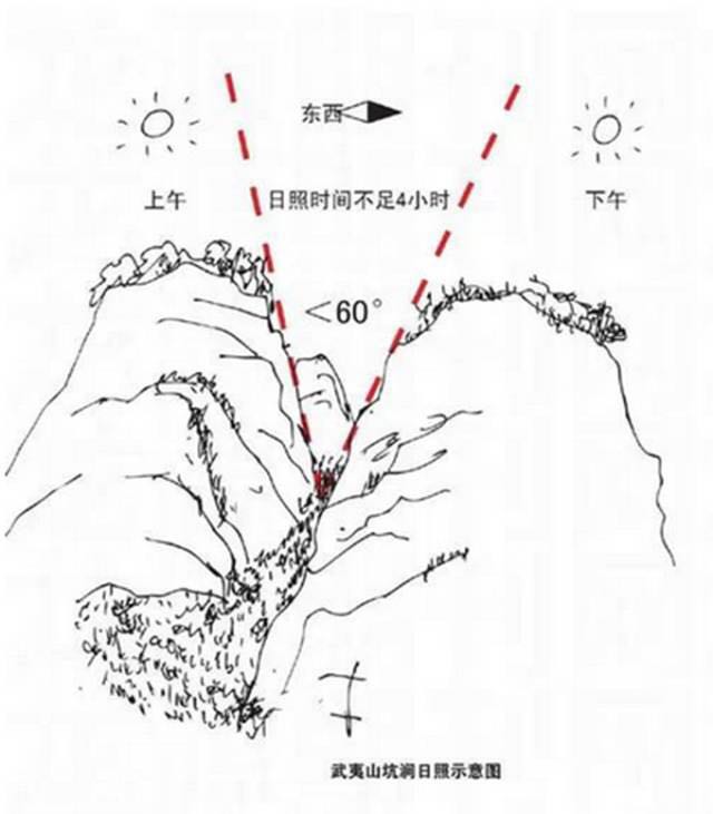 武夷山為什么盛產(chǎn)茶葉，武夷山茶為什么好喝？