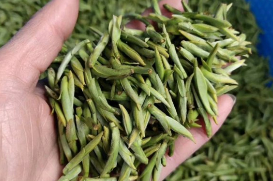 龍井茶好壞的鑒別圖片，如何區(qū)別龍井茶的好壞？