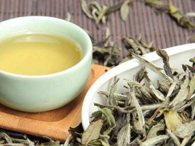 大紅袍好還是白茶好，福鼎白茶和大紅袍哪個貴？
