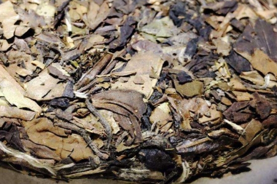 煮茶的步驟圖解，正確的煮白茶方法！