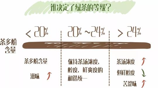 什么綠茶口味重口感濃郁，口味比較重的綠茶都有那些？