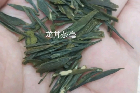 西湖龍井茶毫和發(fā)霉區(qū)別圖片，長(zhǎng)霉的龍井茶葉會(huì)是什么樣？