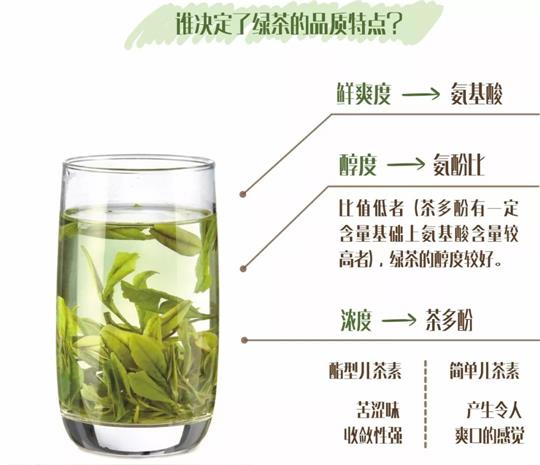 什么綠茶口味重口感濃郁，口味比較重的綠茶都有那些？