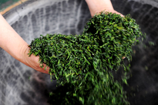 潮汕炒茶屬于什么茶，潮汕炒茶是綠茶嗎？