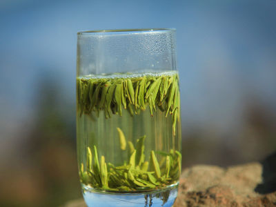 竹葉青茶怎么樣，檔次較高味道略苦價(jià)格比較貴