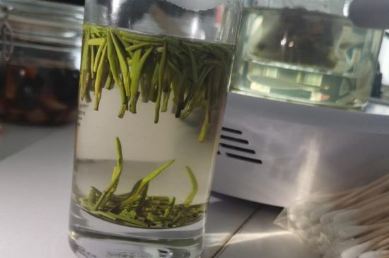金壇雀舌算不算好茶，金壇雀舌屬于什么檔次茶葉？