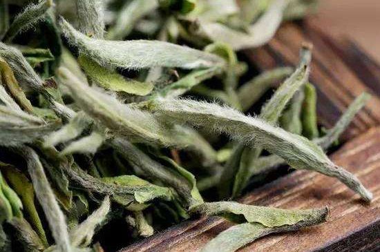荒野銀針有什么特點，荒野銀針的味道口感咋樣？