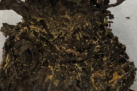 怎么知道涇渭茯茶是否變質(zhì)，茯磚茶金花和發(fā)霉的區(qū)別