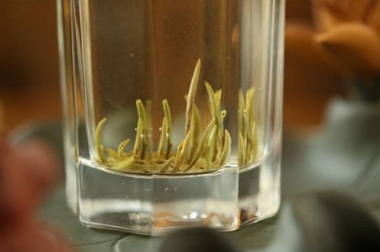 踏雪蘭妃是什么茶，踏雪蘭妃是哪里的茶葉?