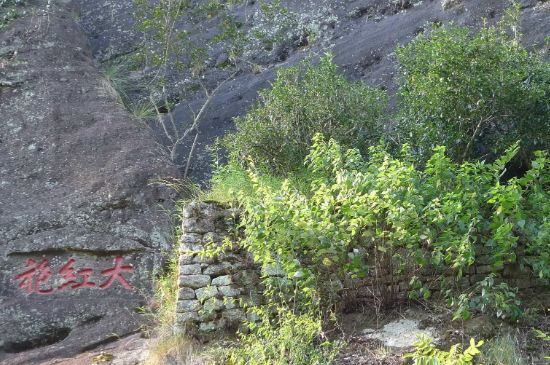 母樹(shù)大紅袍給誰(shuí)喝了，為什么母樹(shù)大紅袍叫三棵六株？