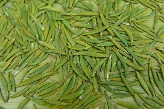 竹葉青和毛尖的區(qū)別，毛尖和竹葉青怎么分辨？