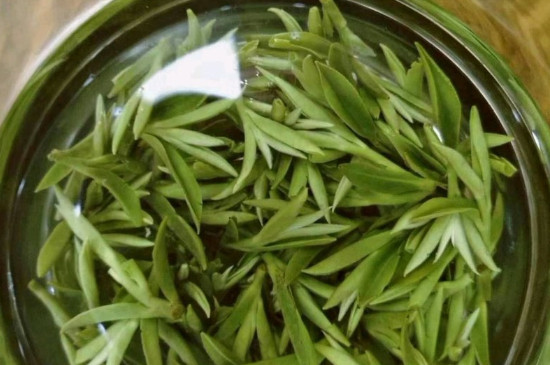 什么綠茶茶葉唇齒留香，哪個品種綠茶香氣好？