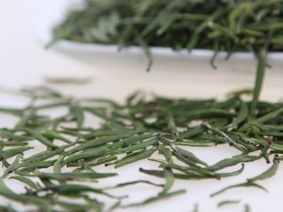 霍山黃芽算是好茶嗎，霍山黃芽屬于什么茶？