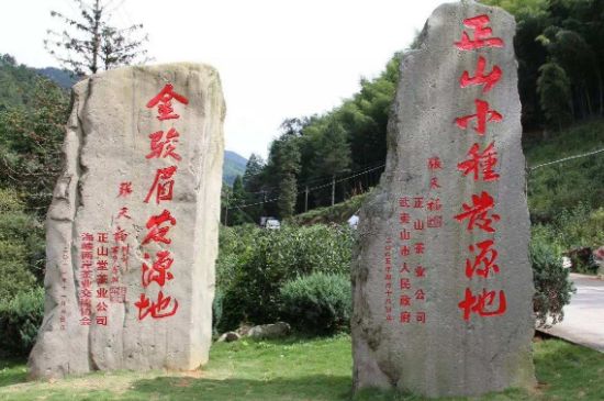 300塊錢(qián)的金駿眉能喝嗎，兩三百多金駿眉和一千多區(qū)別