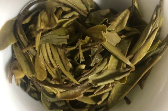 三年白茶賽砒霜，這是真的嗎？
