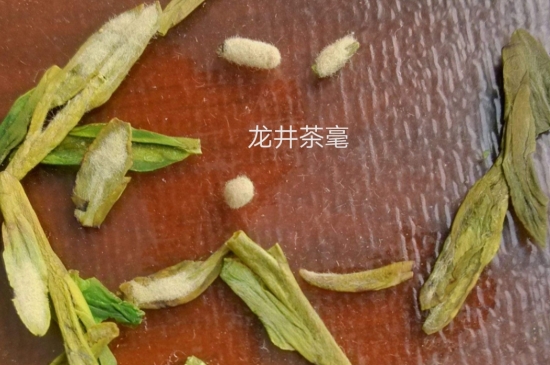 西湖龍井茶毫和發(fā)霉區(qū)別圖片，長(zhǎng)霉的龍井茶葉會(huì)是什么樣？