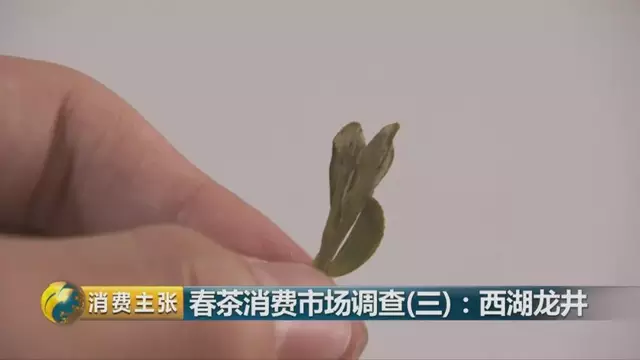 龍井群體種和43號(hào)的區(qū)別圖片，龍井43和群體種哪個(gè)好喝？