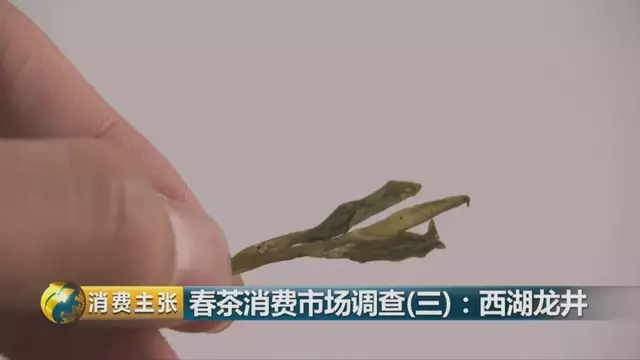 龍井群體種和43號(hào)的區(qū)別圖片，龍井43和群體種哪個(gè)好喝？