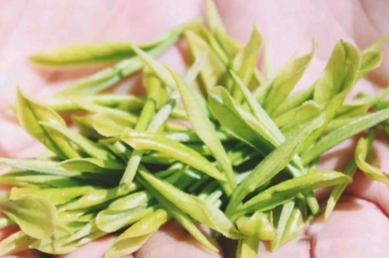 龍井是明前的好還是雨前的好，明前茶和雨前茶哪個(gè)好喝？