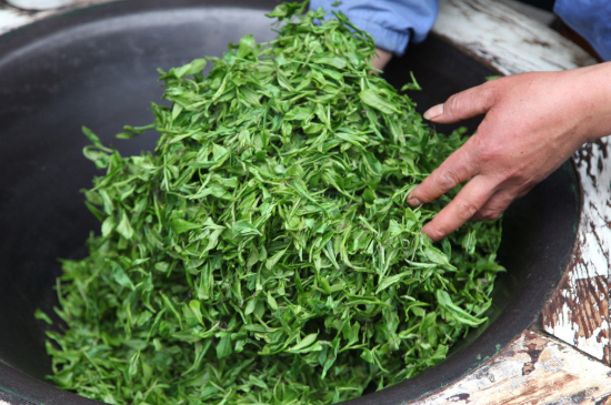 潮汕炒茶屬于什么茶，潮汕炒茶是綠茶嗎？