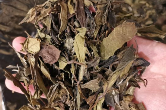 新舊白茶怎么區(qū)分，怎么分辨白茶是新還是舊
