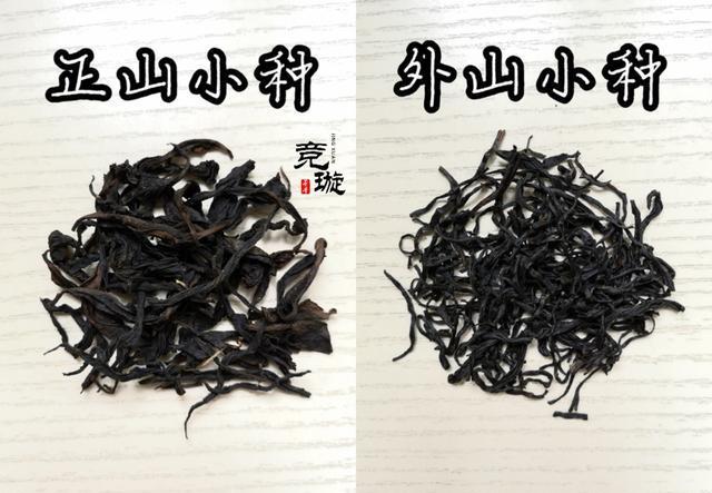 正山小種很細還很黑亮，正山小種越細越好嗎