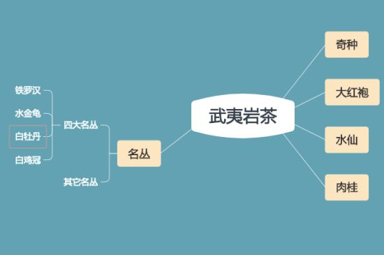 武夷巖茶品種大全，巖茶有幾種？