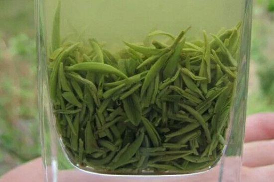 什么綠茶茶葉唇齒留香，哪個品種綠茶香氣好？