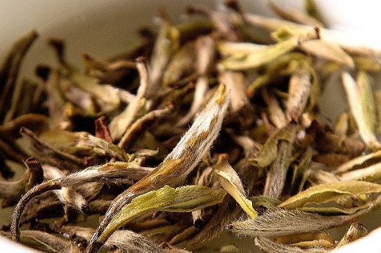 荒野銀針市場價多少，真正的荒野白毫銀針多少錢？