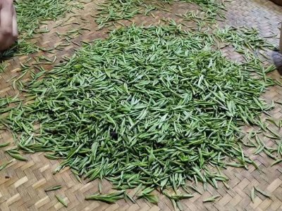 金駿眉幾年可以算陳茶，金駿眉新茶好還是老茶