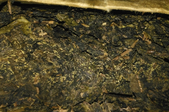 黑茶茯茶保存五大忌，茯茶收藏的注意事項(xiàng)