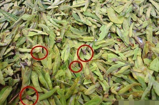 烏牛早和龍井的區(qū)別圖片，龍井43號(hào)和烏牛早茶的對(duì)比