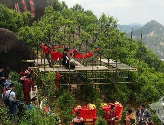 宋種一號價值為什么高，鳳凰單樅宋種1號價格與產(chǎn)量多少？